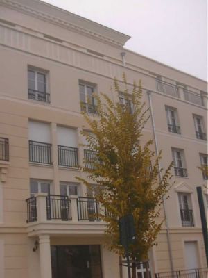 Co-housing2.jpg