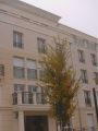 Co-housing2.jpg