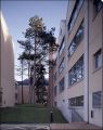 hospital1.jpg