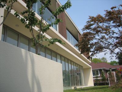 Paju1.jpg